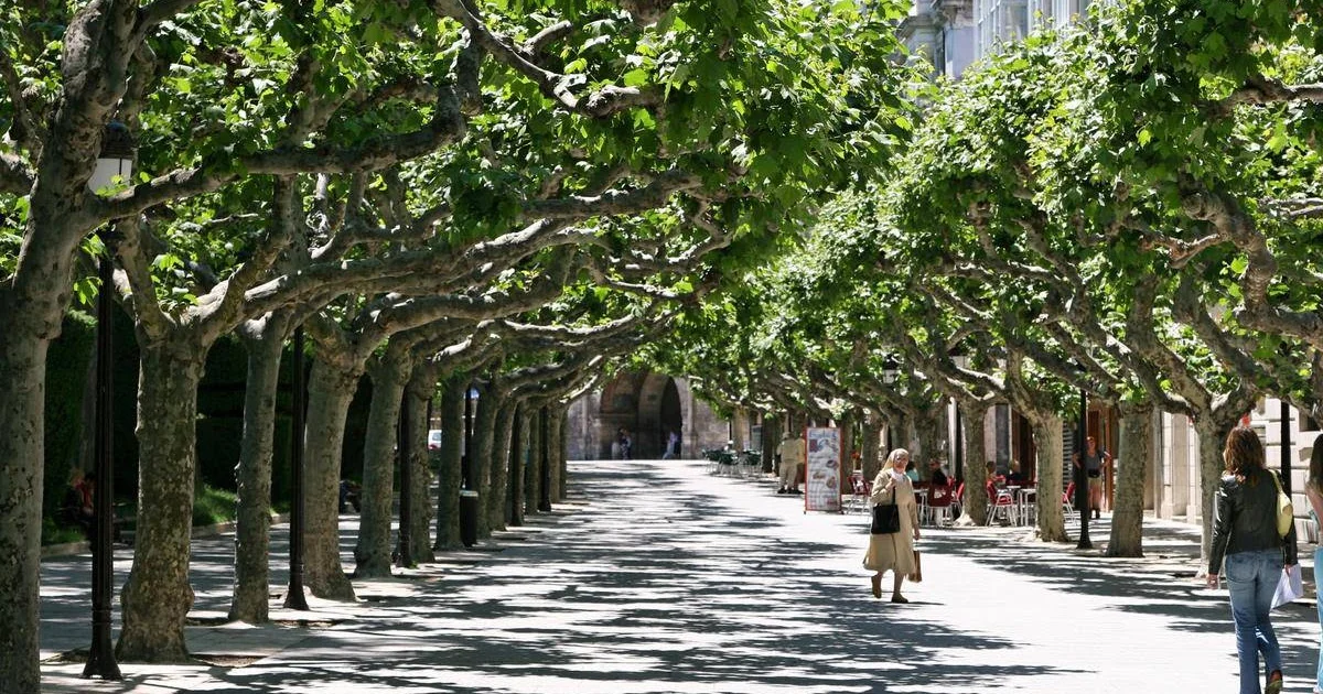Paseo del Espolón in Burgos