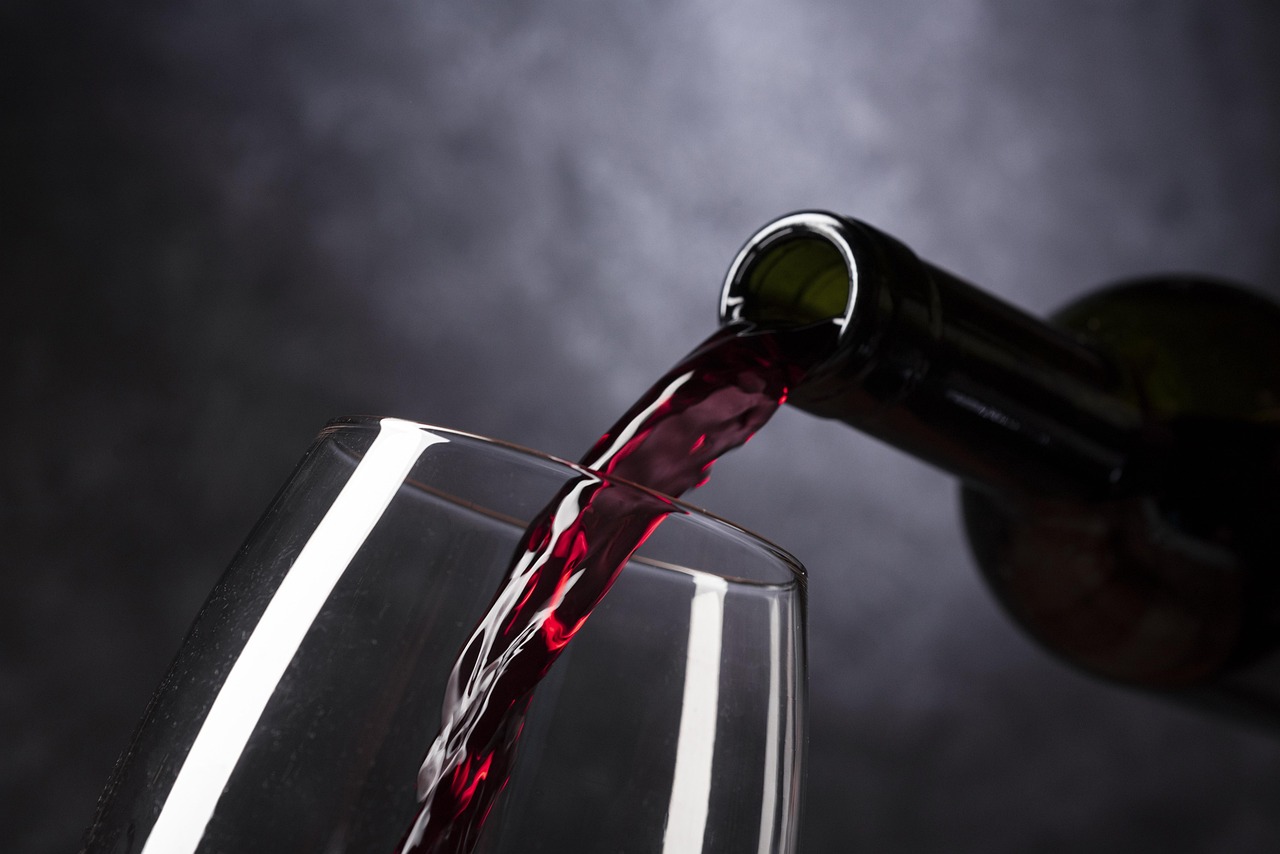Wine tourism near Burgos